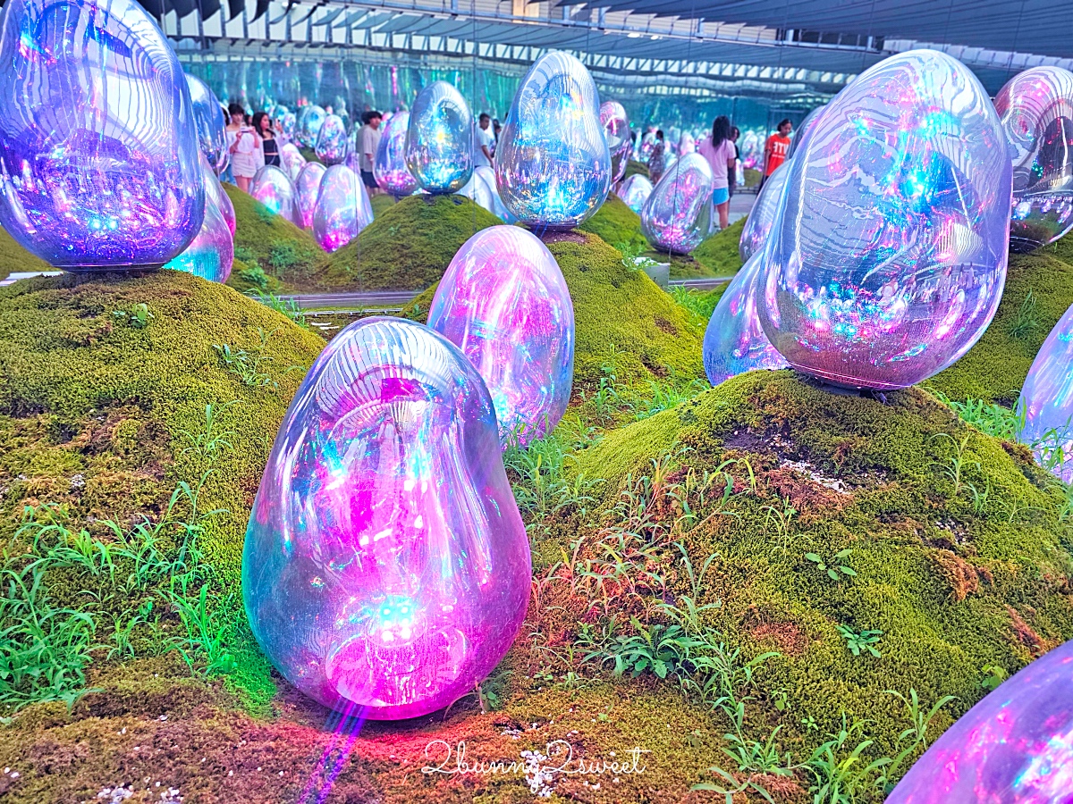 東京景點推薦｜teamLab Planets 豐洲沉浸式美術館體驗、拍照秘訣、穿搭建議 @兔兒毛毛姊妹花
