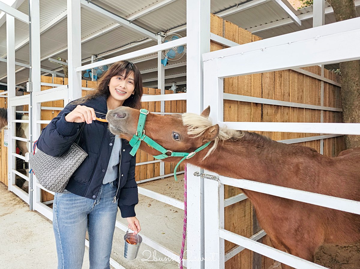 【好田森林】彰化親子景點~滑草、空中卡丁車、恐龍造景、親子餐廳與戶外遊戲區 @兔兒毛毛姊妹花 【好田森林】彰化親子景點~滑草、空中卡丁車、恐龍造景、親子餐廳與戶外遊戲區 @兔兒毛毛姊妹花