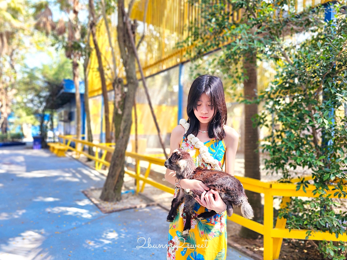 曼谷景點「Cafe MiniZoo Garden River 8」可以看長頸鹿、和老虎合照～根本小型動物園 @兔兒毛毛姊妹花