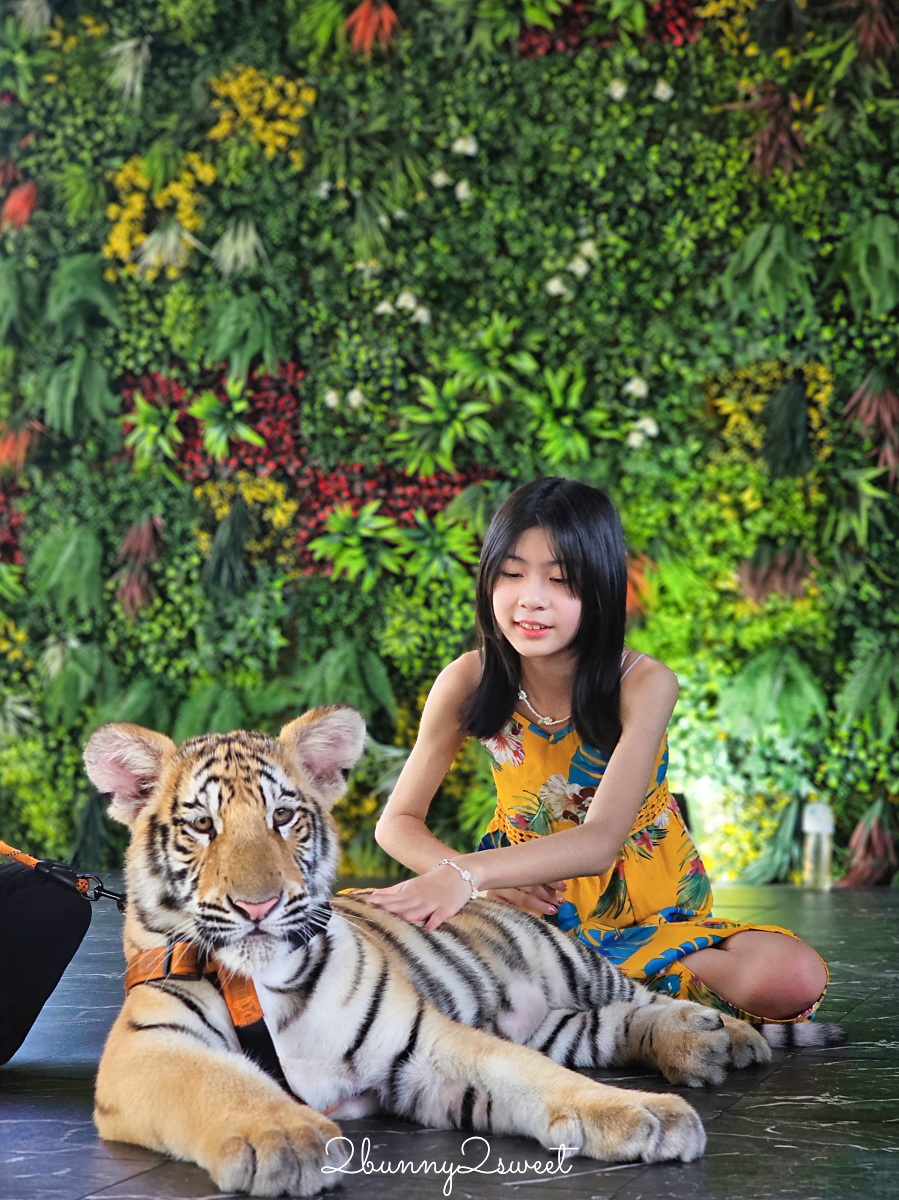 曼谷景點「Cafe MiniZoo Garden River 8」可以看長頸鹿、和老虎合照～根本小型動物園 @兔兒毛毛姊妹花