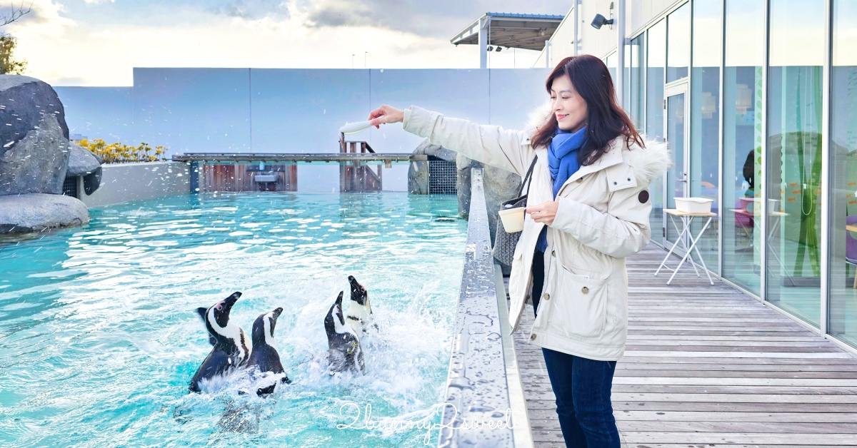 仙台景點｜仙台海洋之森水族館：和企鵝互動餵食的療癒親子景點 うみの杜水族館 @兔兒毛毛姊妹花