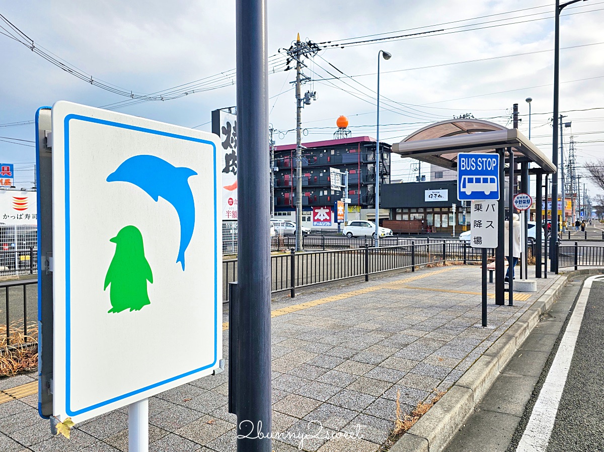 仙台景點｜仙台海洋之森水族館：和企鵝互動餵食的療癒親子景點 うみの杜水族館 @兔兒毛毛姊妹花
