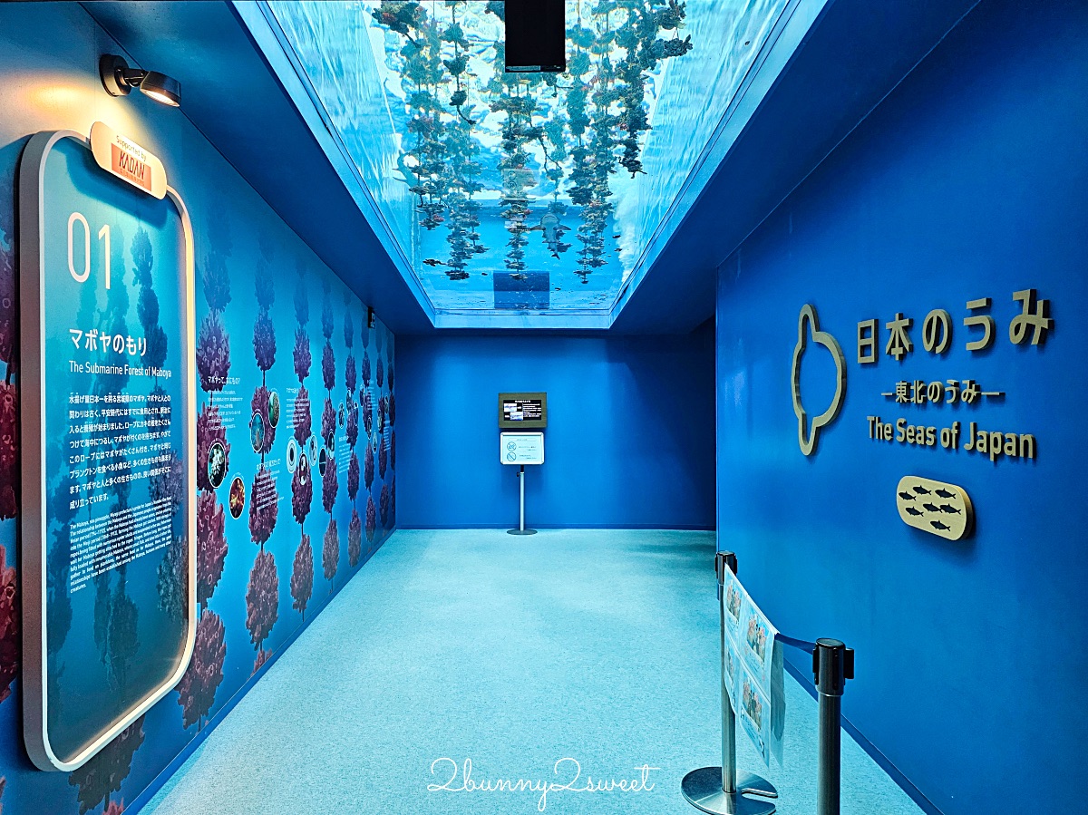 仙台景點｜仙台海洋之森水族館：和企鵝互動餵食的療癒親子景點 うみの杜水族館 @兔兒毛毛姊妹花