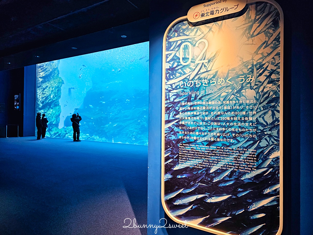 仙台景點｜仙台海洋之森水族館：和企鵝互動餵食的療癒親子景點 うみの杜水族館 @兔兒毛毛姊妹花