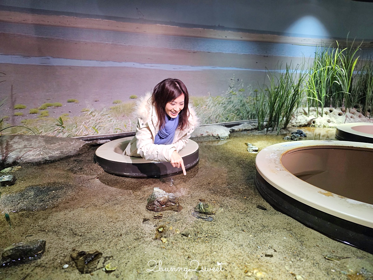 仙台景點｜仙台海洋之森水族館：和企鵝互動餵食的療癒親子景點 うみの杜水族館 @兔兒毛毛姊妹花