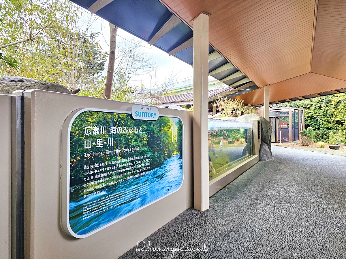 仙台景點｜仙台海洋之森水族館：和企鵝互動餵食的療癒親子景點 うみの杜水族館 @兔兒毛毛姊妹花