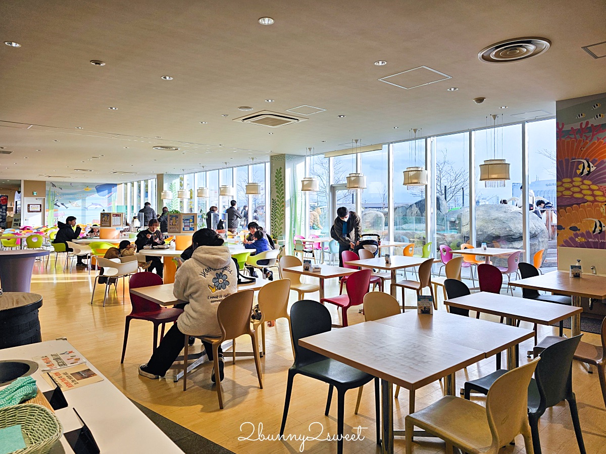 仙台景點｜仙台海洋之森水族館：和企鵝互動餵食的療癒親子景點 うみの杜水族館 @兔兒毛毛姊妹花