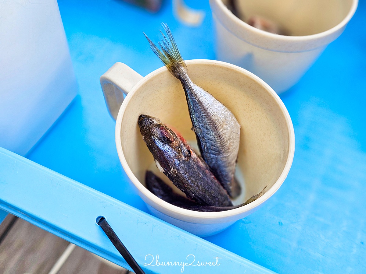 仙台景點｜仙台海洋之森水族館：和企鵝互動餵食的療癒親子景點 うみの杜水族館 @兔兒毛毛姊妹花
