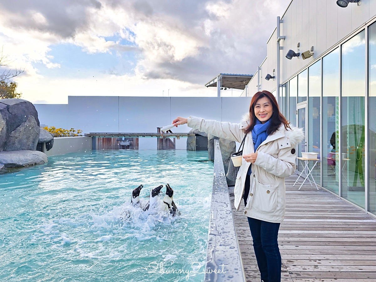仙台景點｜仙台海洋之森水族館：和企鵝互動餵食的療癒親子景點 うみの杜水族館 @兔兒毛毛姊妹花
