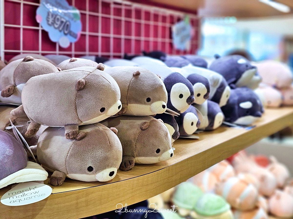 仙台景點｜仙台海洋之森水族館：和企鵝互動餵食的療癒親子景點 うみの杜水族館 @兔兒毛毛姊妹花