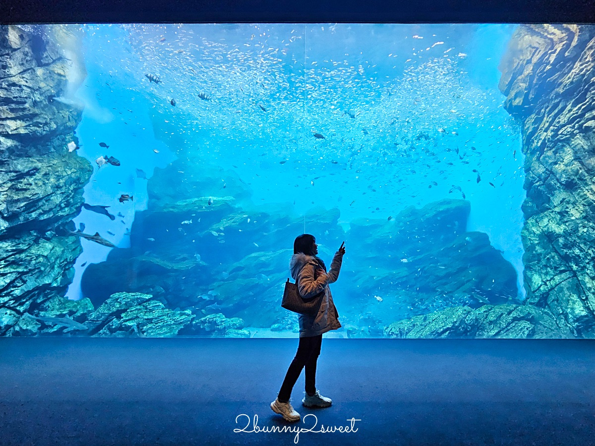 仙台景點｜仙台海洋之森水族館：和企鵝互動餵食的療癒親子景點 うみの杜水族館 @兔兒毛毛姊妹花