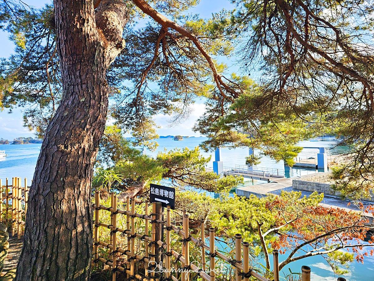 仙台景點「松島觀瀾亭」藏身松島博物館旁，可以眺望松島灣絕景的隱藏版百年茶屋 @兔兒毛毛姊妹花