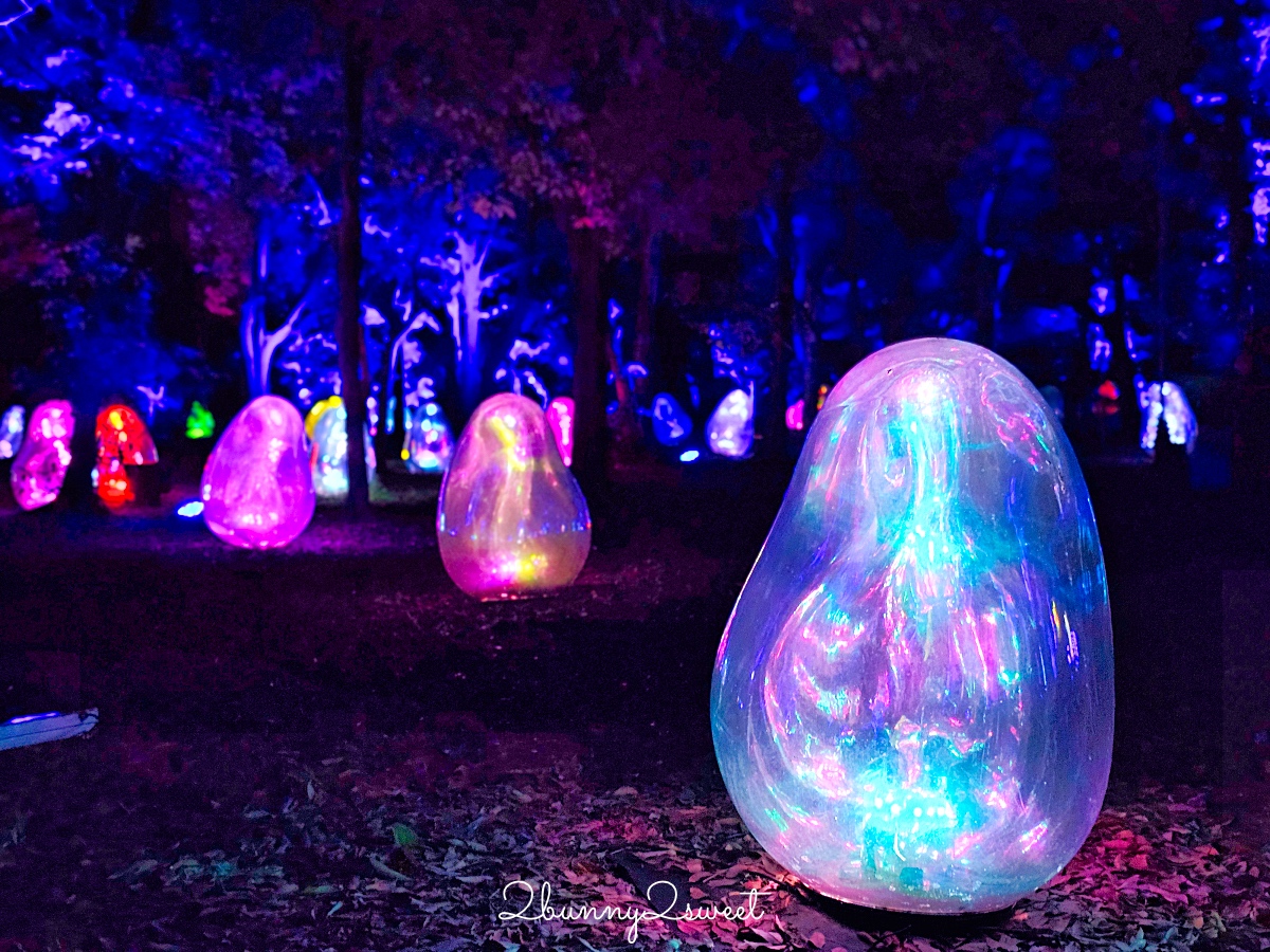 「大阪長居植物園 teamLab」7萬坪公園變身夜間美拍景點｜teamLab Botanical Garden Osaka @兔兒毛毛姊妹花