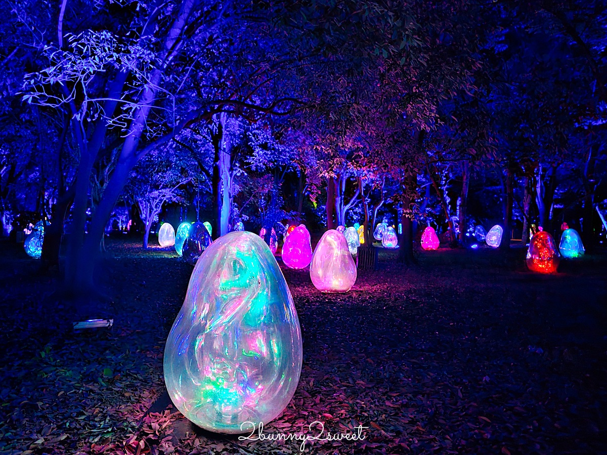 「大阪長居植物園 teamLab」7萬坪公園變身夜間美拍景點｜teamLab Botanical Garden Osaka @兔兒毛毛姊妹花