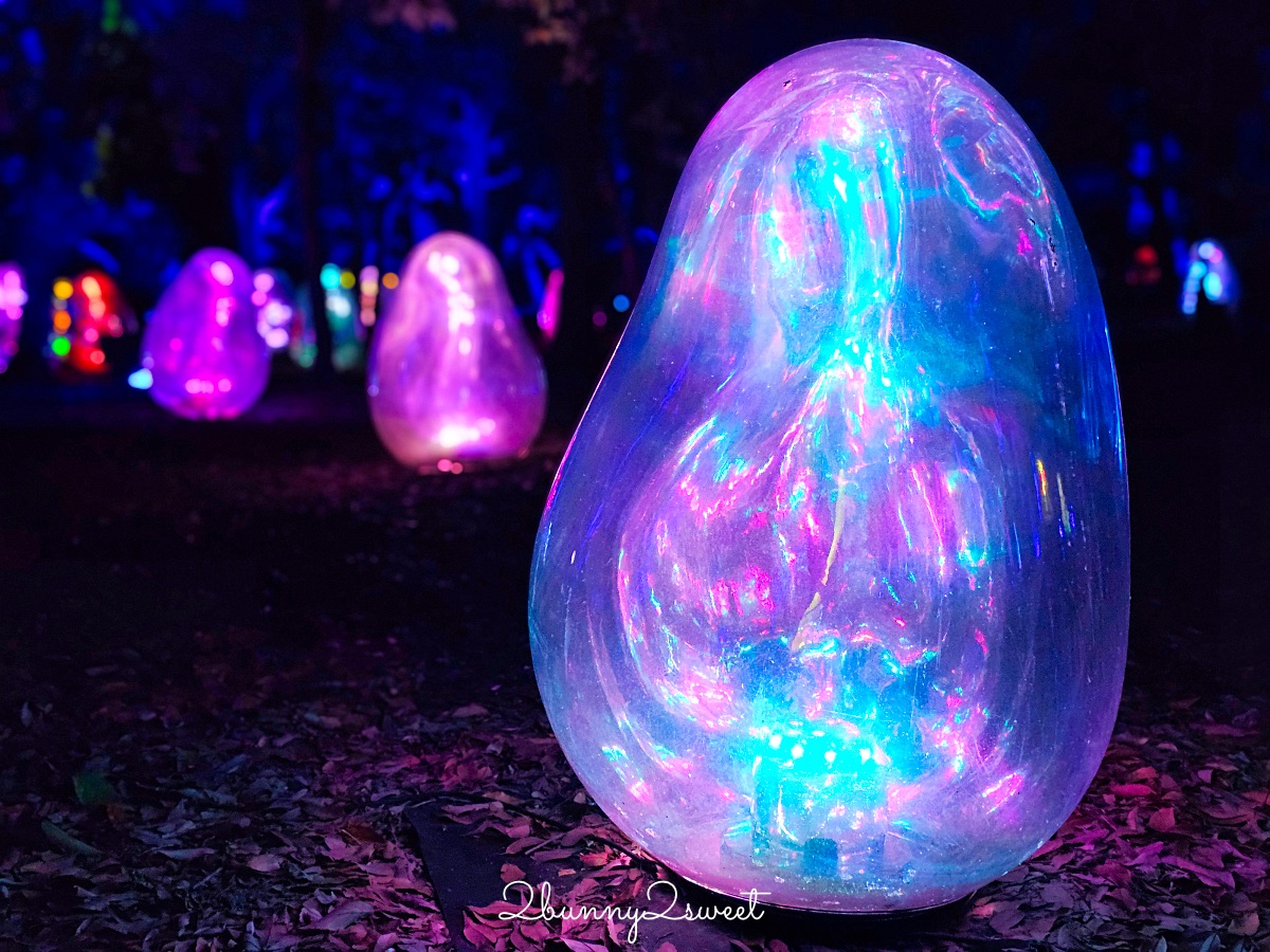 「大阪長居植物園 teamLab」7萬坪公園變身夜間美拍景點｜teamLab Botanical Garden Osaka @兔兒毛毛姊妹花
