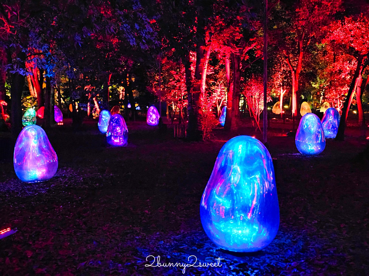 「大阪長居植物園 teamLab」7萬坪公園變身夜間美拍景點｜teamLab Botanical Garden Osaka @兔兒毛毛姊妹花
