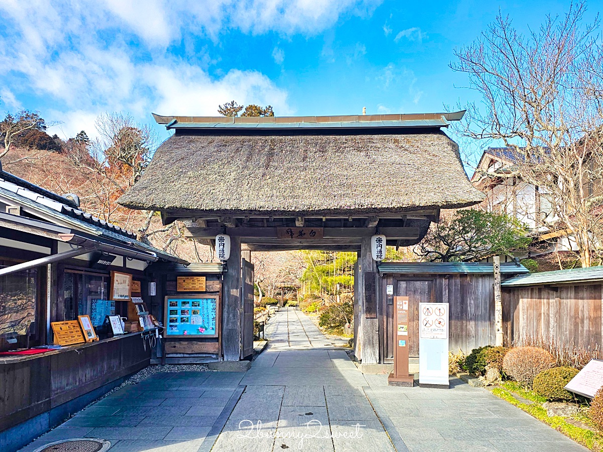 仙台景點「松島一日遊」交通方式/必玩景點/美食餐廳～日本三景松島自由行散步地圖攻略 @兔兒毛毛姊妹花