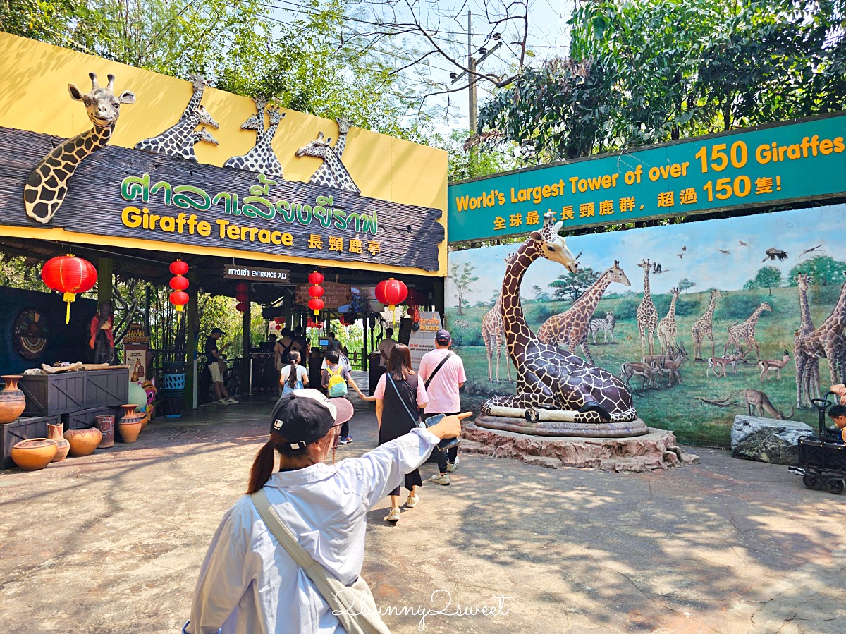 曼谷野生動物園｜賽福瑞野生動物園 Safari World：亞洲最大野生動物園上百隻長頸鹿隨你餵 @兔兒毛毛姊妹花