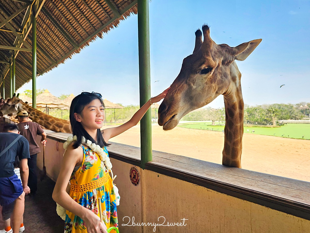 曼谷野生動物園｜賽福瑞野生動物園 Safari World：亞洲最大野生動物園上百隻長頸鹿隨你餵 @兔兒毛毛姊妹花