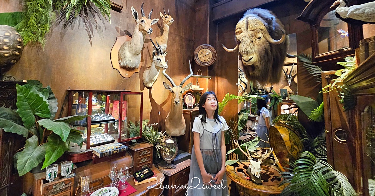 台南景點「仰角舶物忠義店」小而美標本館免費參觀，還有精美蝴蝶飾品可以買 @兔兒毛毛姊妹花