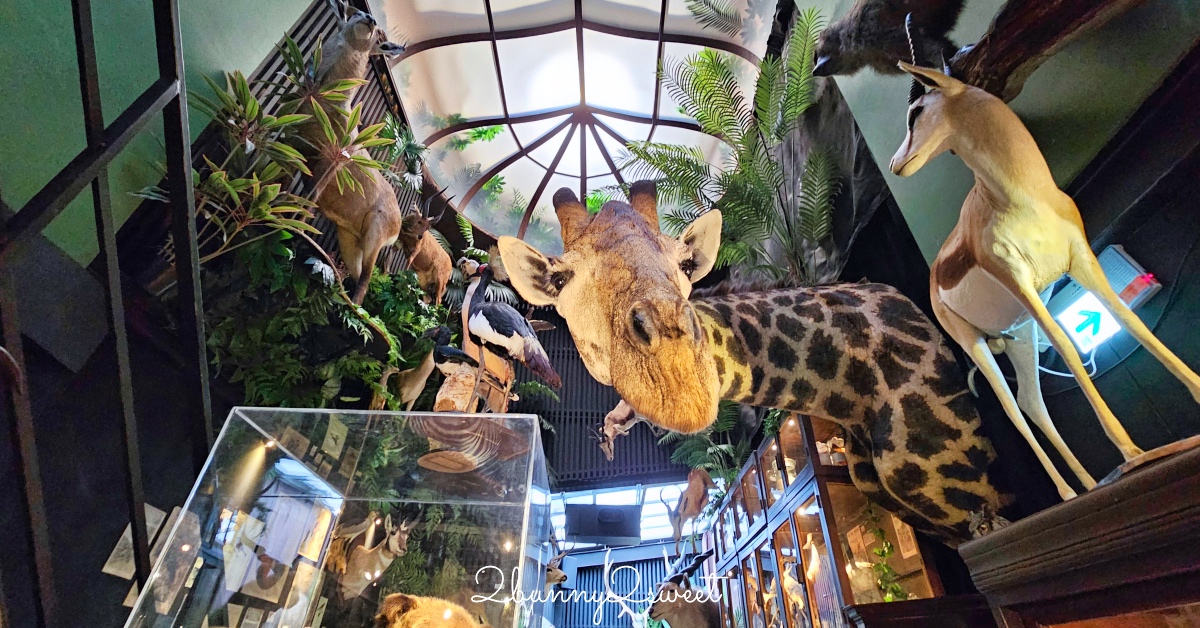台南景點「仰角舶物民權店」彷彿博物館驚魂夜的標本博物館，長頸鹿就在眼前太震撼 @兔兒毛毛姊妹花