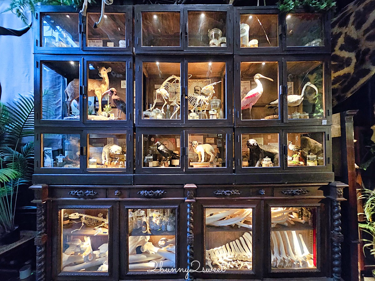 台南景點「仰角舶物民權店」彷彿博物館驚魂夜的標本博物館，長頸鹿就在眼前太震撼 @兔兒毛毛姊妹花