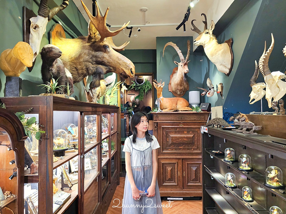 台南景點「仰角舶物忠義店」小而美標本館免費參觀，還有精美蝴蝶飾品可以買 @兔兒毛毛姊妹花