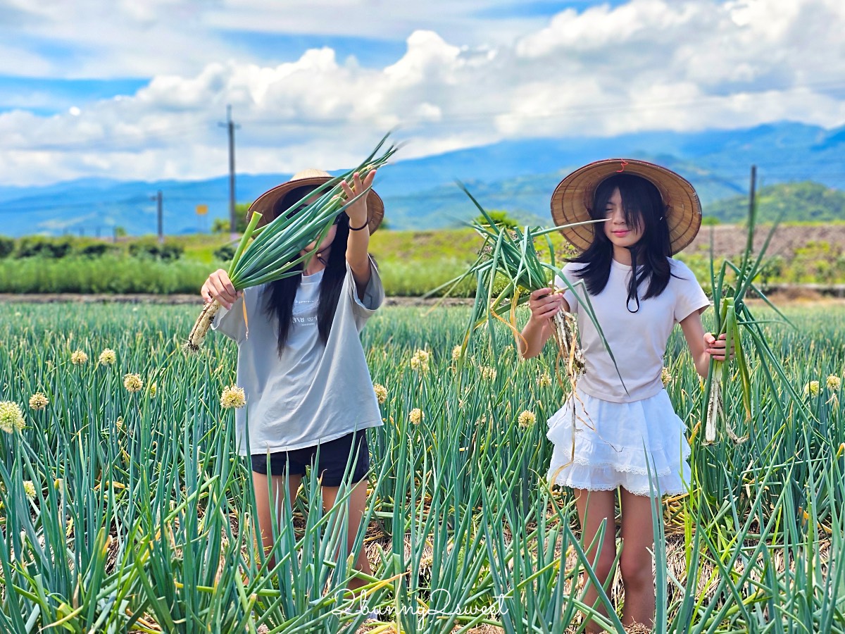 【宜蘭農場】初咪體驗農場：最好玩三星青蔥農場下田採蔥、抓泥鰍、蔥油餅DIY @兔兒毛毛姊妹花