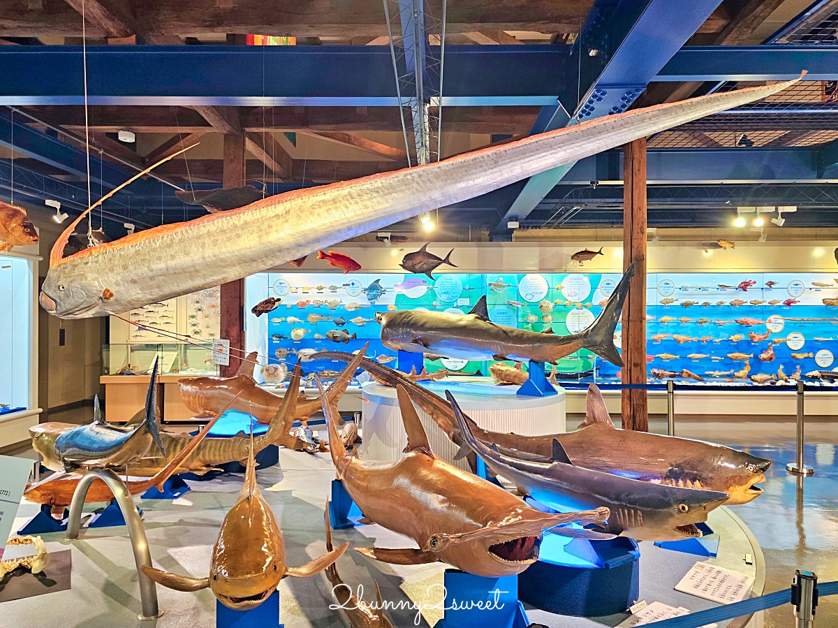 【鳥取境港一日遊】妖怪列車、水木茂大道、境港漁市~境港美食景點伴手禮全攻略 @兔兒毛毛姊妹花