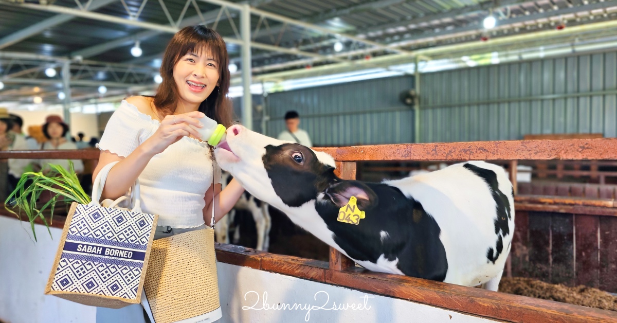沙巴景點【德薩乳牛牧場 Desa Cattle Dairy Farm】神山必訪小紐西蘭，餵牛牛、吃冰淇淋 @兔兒毛毛姊妹花