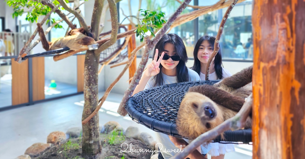 宜蘭三星景點【樹懶餐廳】張美阿嬤2.0萌寵樂園～乾淨整潔宜蘭動物農場，免費跟樹懶拍照 @兔兒毛毛姊妹花