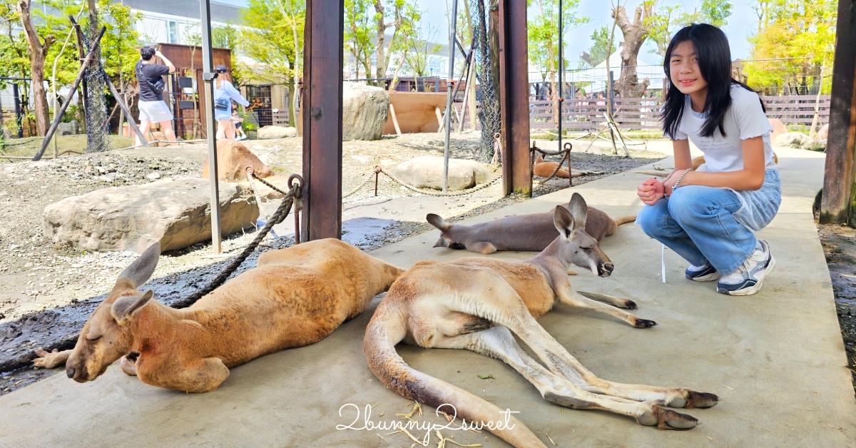 宜蘭景點【蘭陽動植物王國】超越動物園的宜蘭動物農場!! 室內吹冷氣餵動物有夠爽 @兔兒毛毛姊妹花