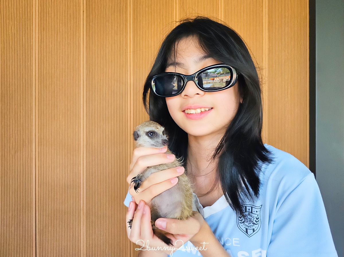 宜蘭三星【樹懶餐廳萌寵樂園】全新親子動物農場：DIY教室＋全新遊戲區開放 @兔兒毛毛姊妹花