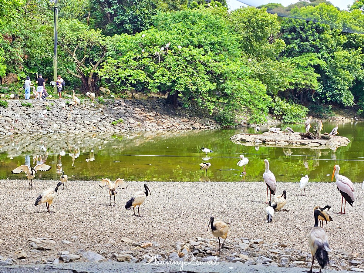 沖繩北部親子景點｜名護自然動植物公園 Neo Park 全攻略：交通、門票、亮點一次看 @兔兒毛毛姊妹花