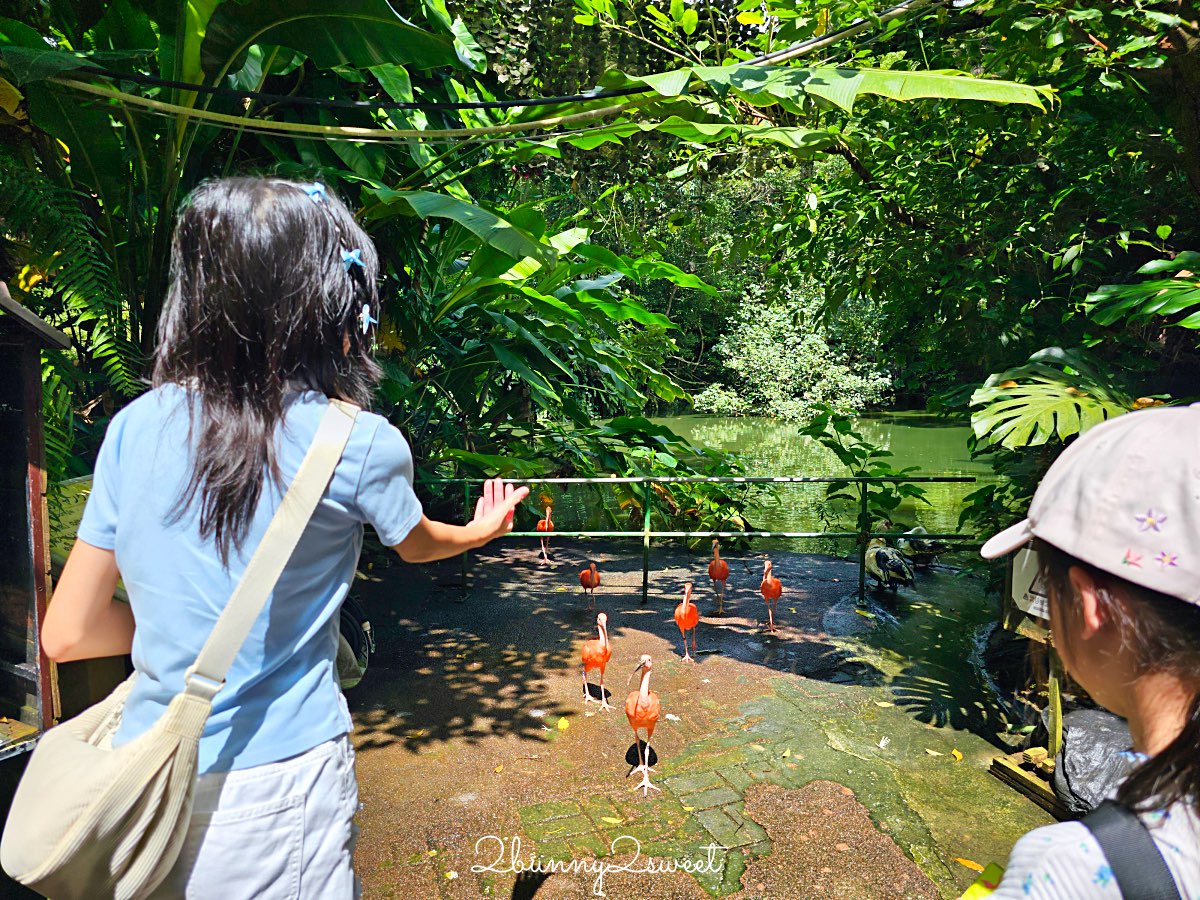 沖繩北部親子景點｜名護自然動植物公園 Neo Park 全攻略：交通、門票、亮點一次看 @兔兒毛毛姊妹花