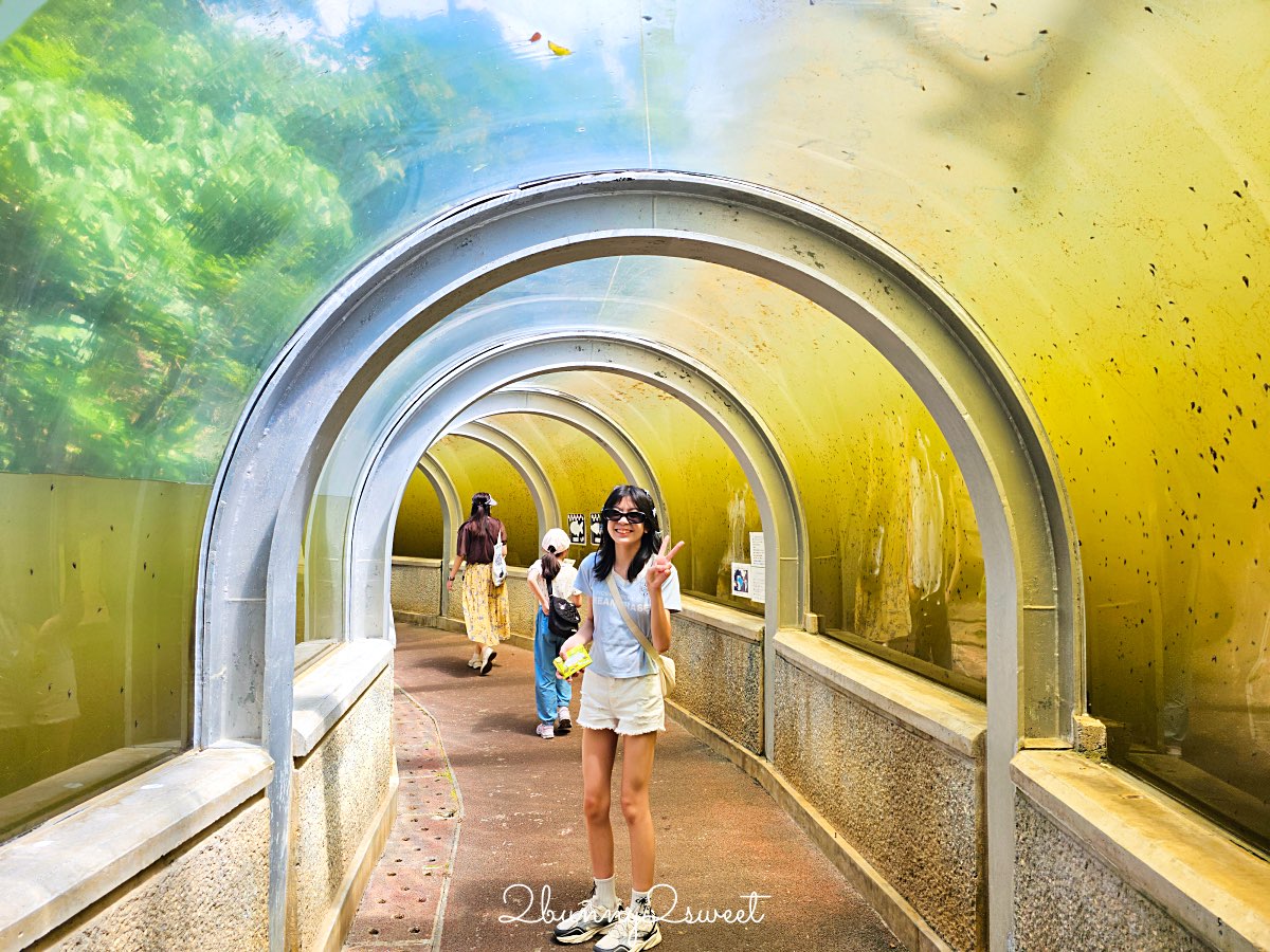 沖繩北部親子景點｜名護自然動植物公園 Neo Park 全攻略：交通、門票、亮點一次看 @兔兒毛毛姊妹花
