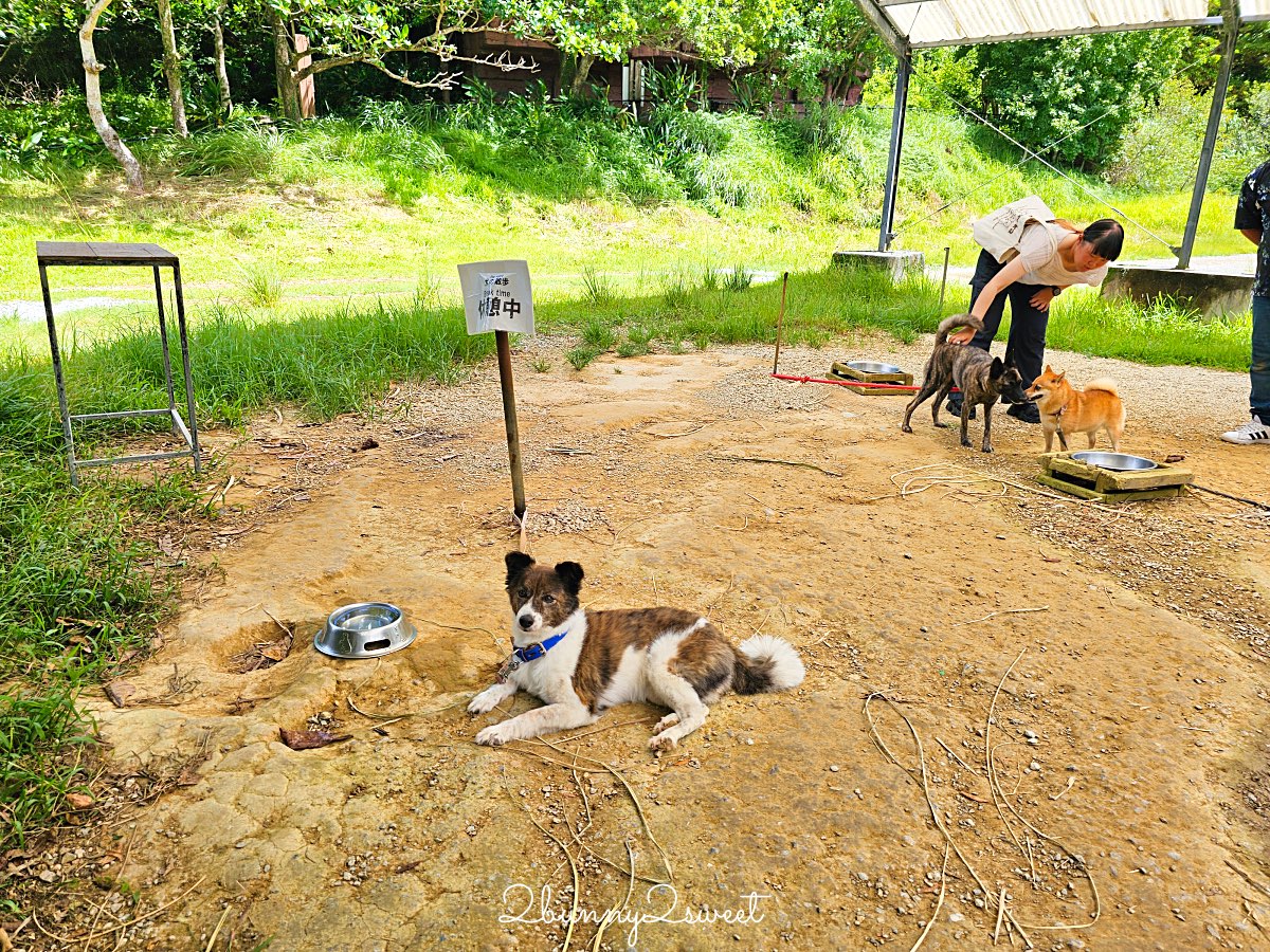 沖繩北部親子景點｜名護自然動植物公園 Neo Park 全攻略：交通、門票、亮點一次看 @兔兒毛毛姊妹花