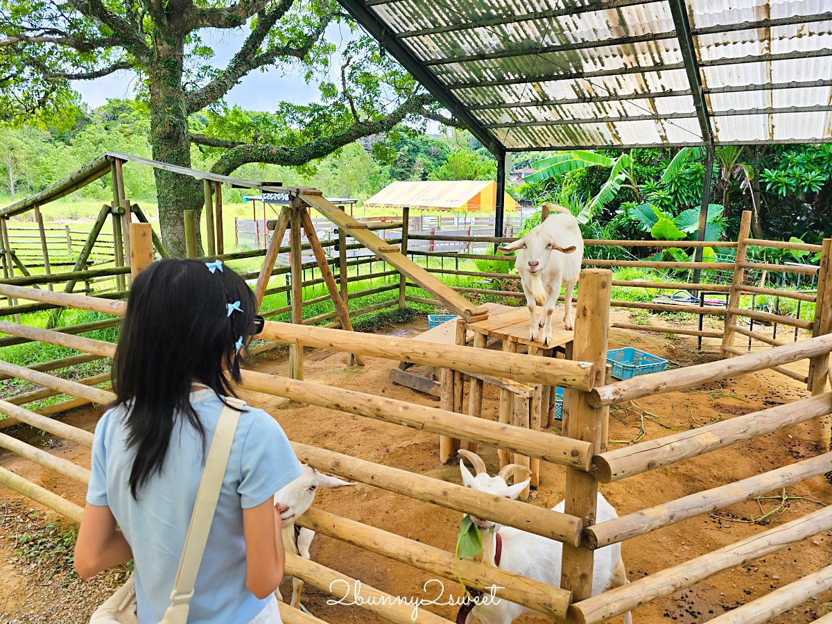 沖繩北部親子景點｜名護自然動植物公園 Neo Park 全攻略：交通、門票、亮點一次看 @兔兒毛毛姊妹花