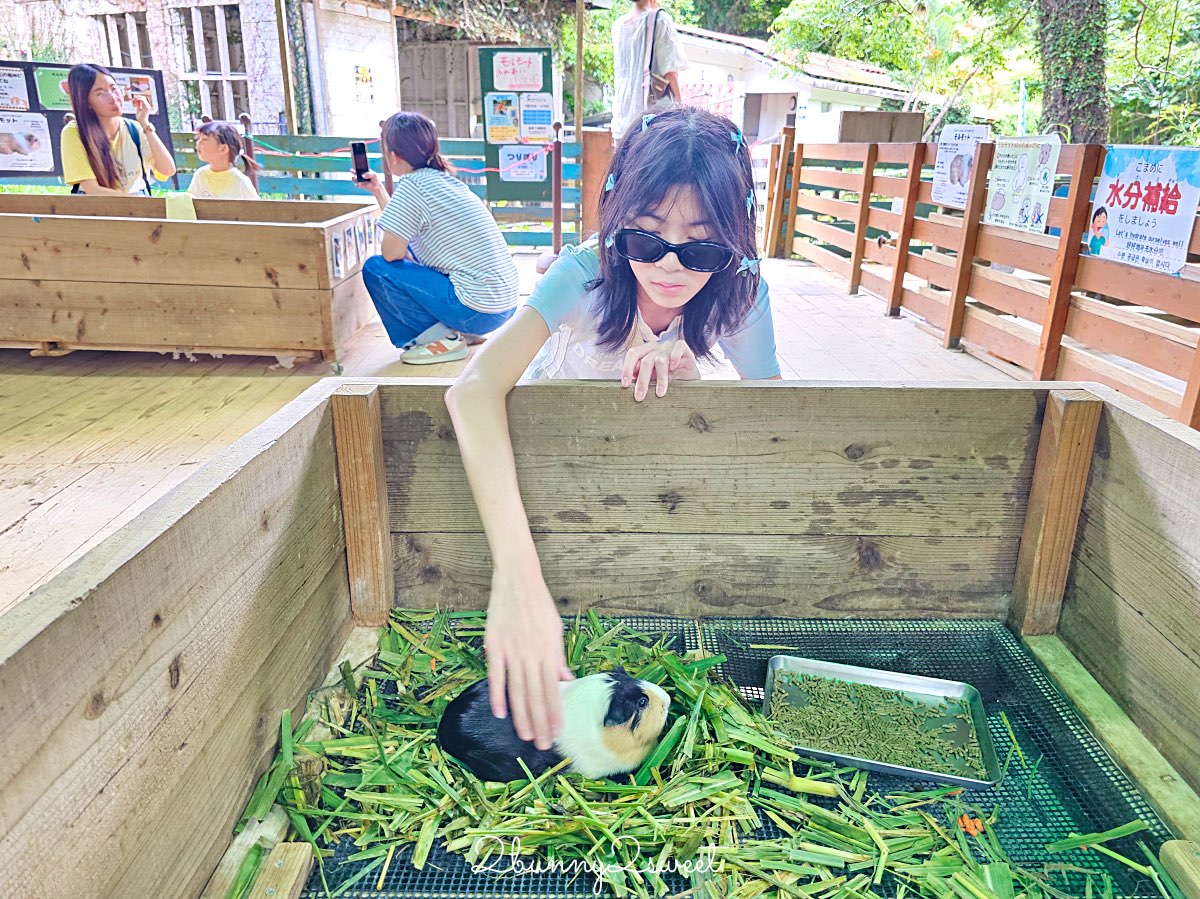 沖繩北部親子景點｜名護自然動植物公園 Neo Park 全攻略：交通、門票、亮點一次看 @兔兒毛毛姊妹花