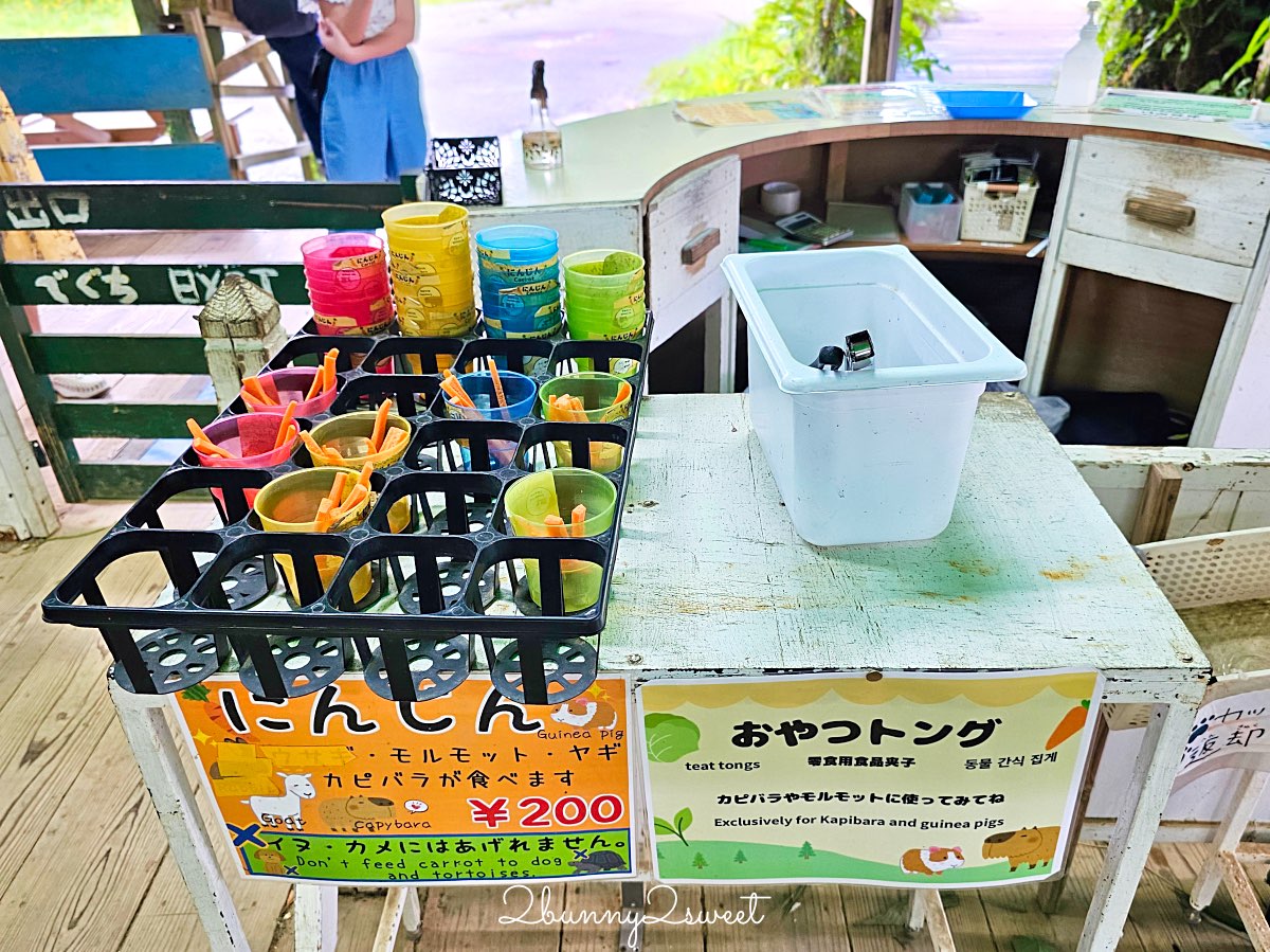 沖繩北部親子景點｜名護自然動植物公園 Neo Park 全攻略：交通、門票、亮點一次看 @兔兒毛毛姊妹花
