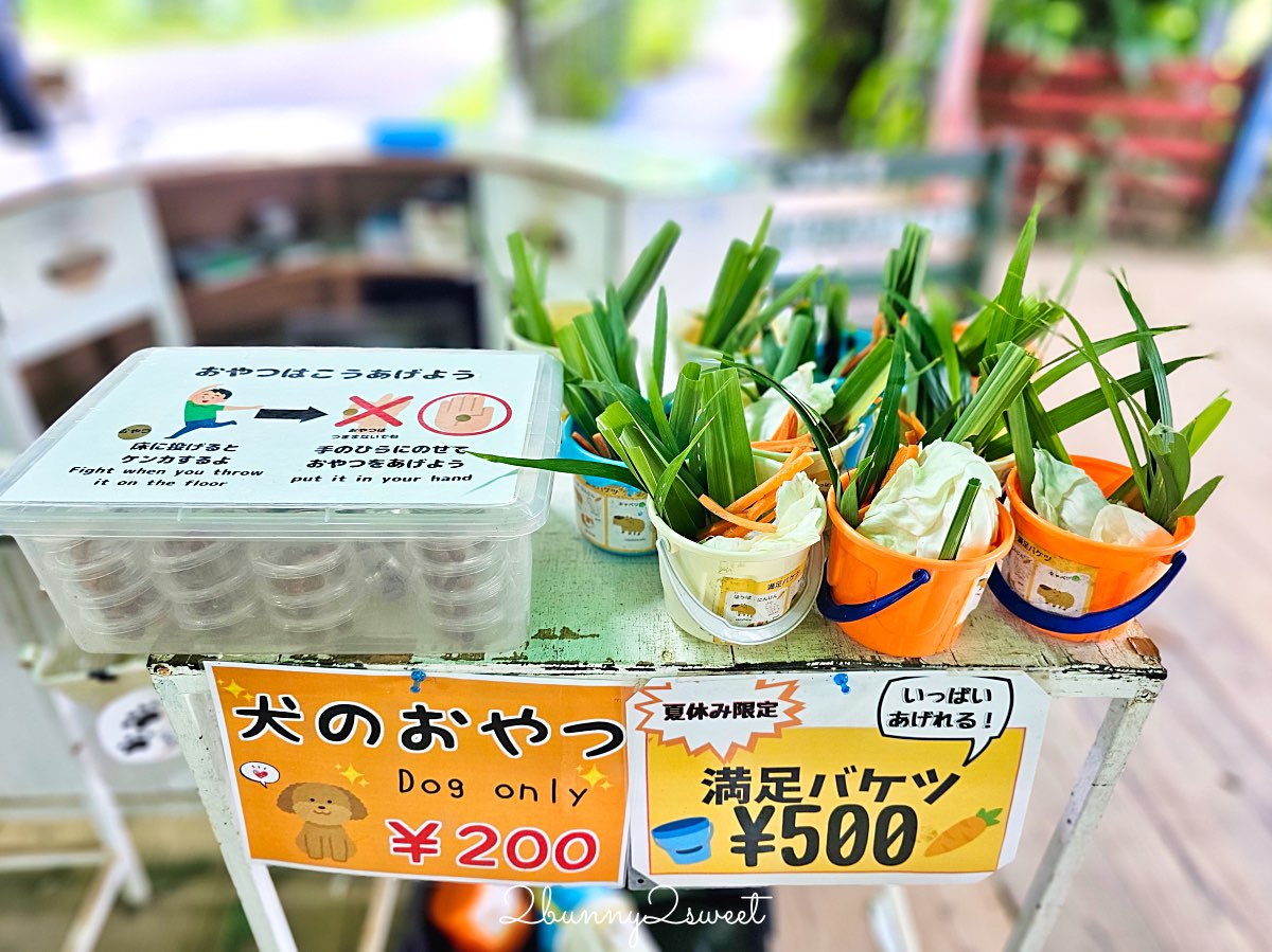 沖繩北部親子景點｜名護自然動植物公園 Neo Park 全攻略：交通、門票、亮點一次看 @兔兒毛毛姊妹花