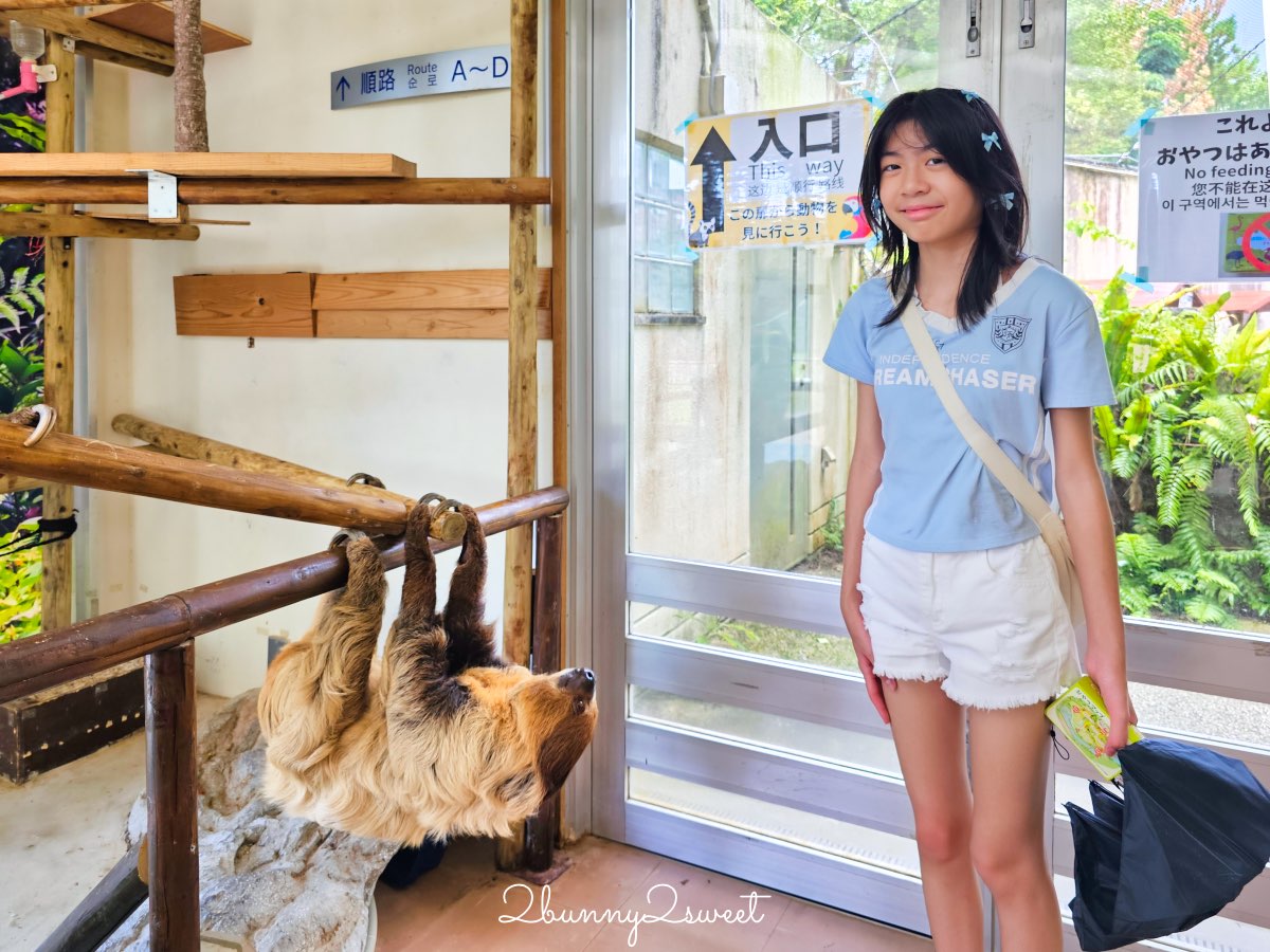 沖繩北部親子景點｜名護自然動植物公園 Neo Park 全攻略：交通、門票、亮點一次看 @兔兒毛毛姊妹花