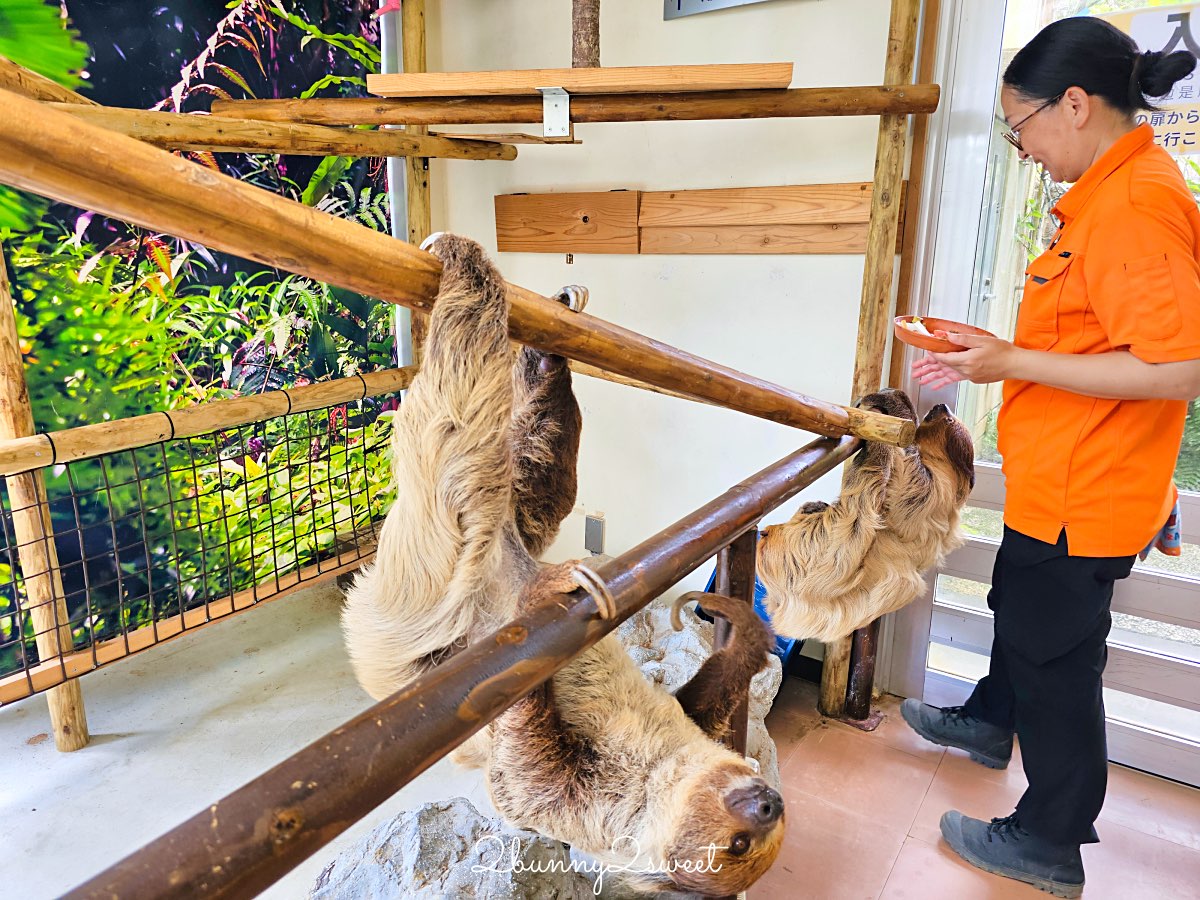 沖繩北部親子景點｜名護自然動植物公園 Neo Park 全攻略：交通、門票、亮點一次看 @兔兒毛毛姊妹花