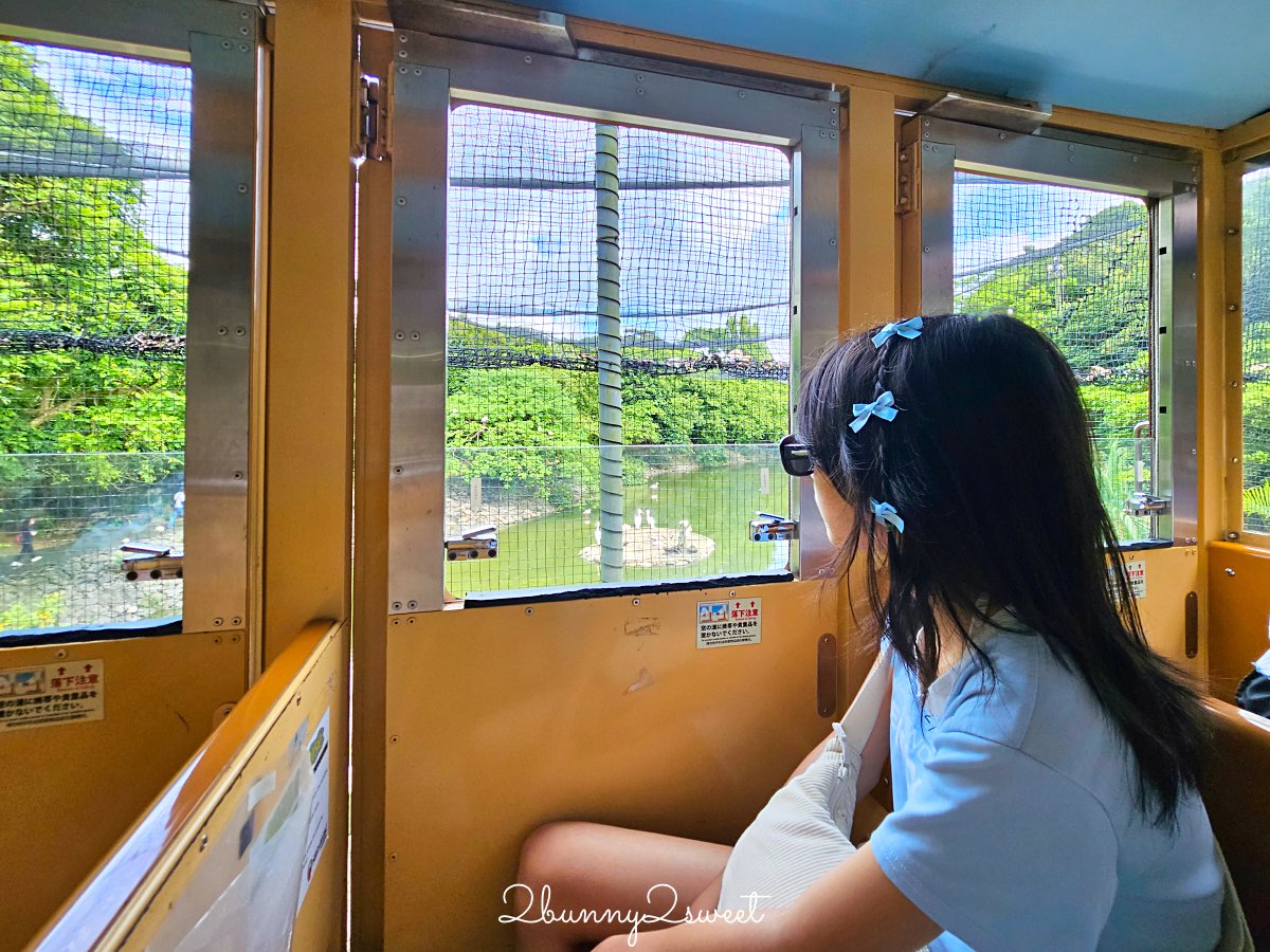 沖繩北部親子景點｜名護自然動植物公園 Neo Park 全攻略：交通、門票、亮點一次看 @兔兒毛毛姊妹花