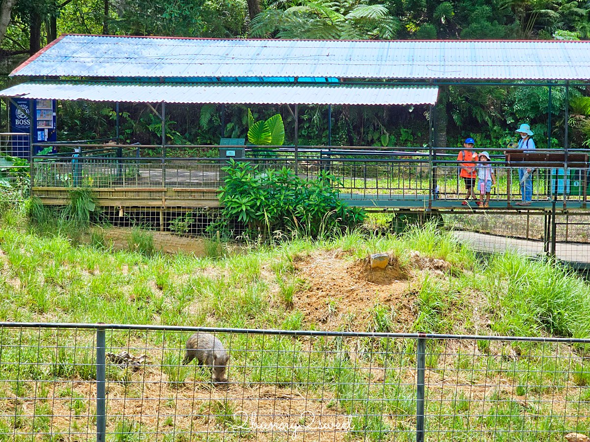 沖繩北部親子景點｜名護自然動植物公園 Neo Park 全攻略：交通、門票、亮點一次看 @兔兒毛毛姊妹花