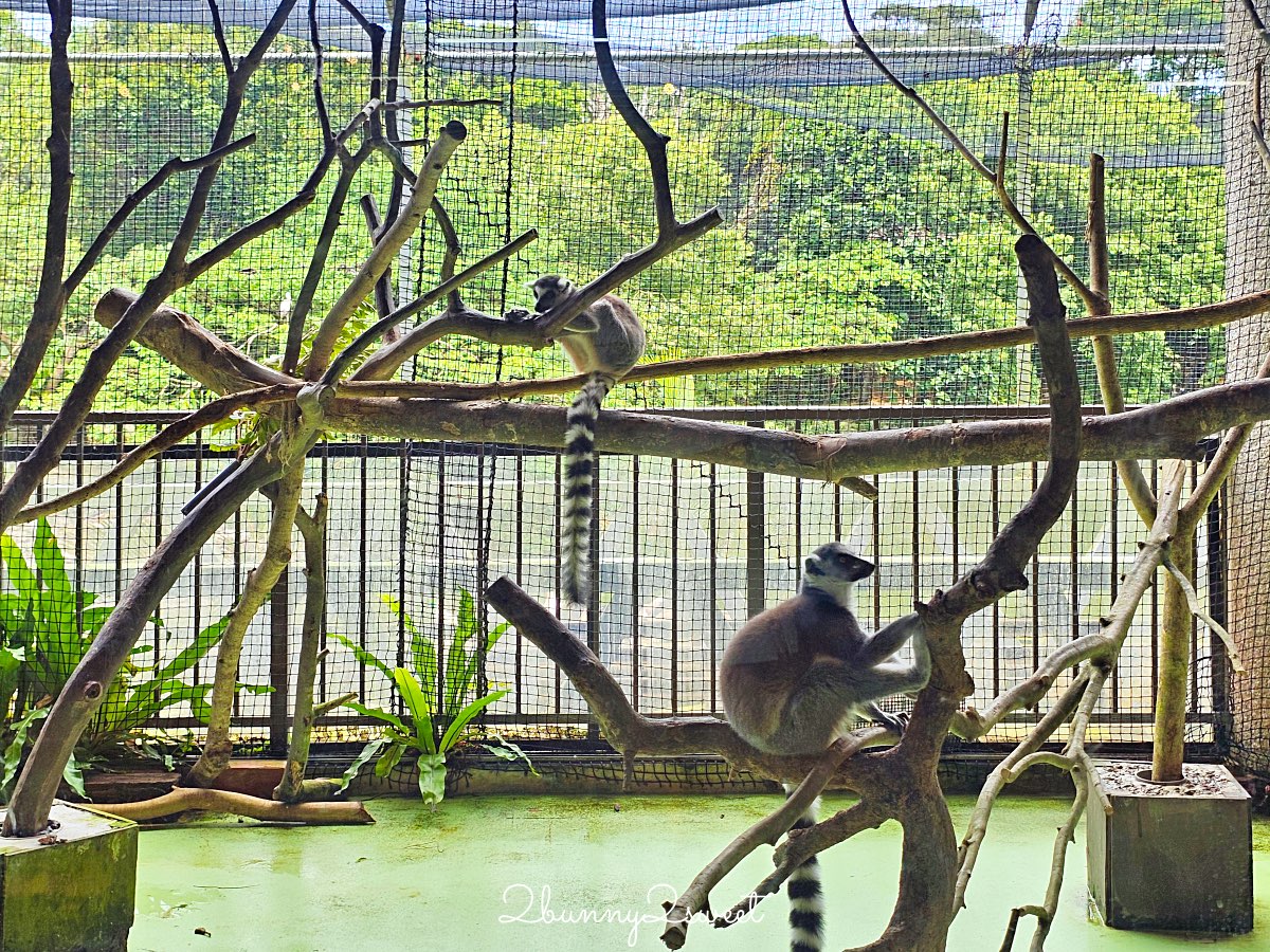 沖繩北部親子景點｜名護自然動植物公園 Neo Park 全攻略：交通、門票、亮點一次看 @兔兒毛毛姊妹花