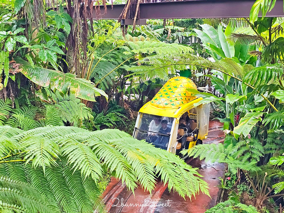 沖繩親子景點｜名護鳳梨園：搭乘鳳梨車穿梭熱帶果園、恐龍園，必逛鳳梨主題樂園 @兔兒毛毛姊妹花