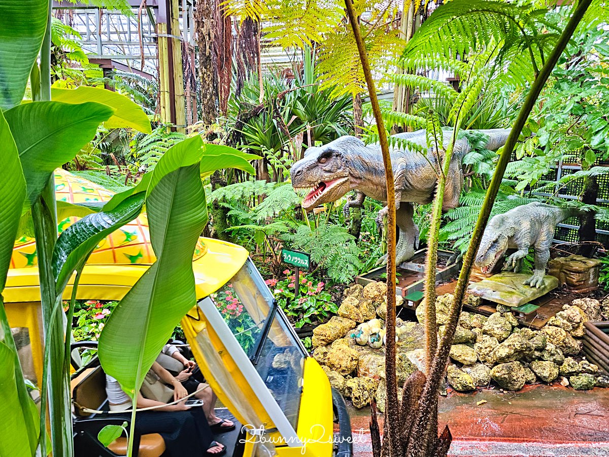 沖繩親子景點｜名護鳳梨園：搭乘鳳梨車穿梭熱帶果園、恐龍園，必逛鳳梨主題樂園 @兔兒毛毛姊妹花