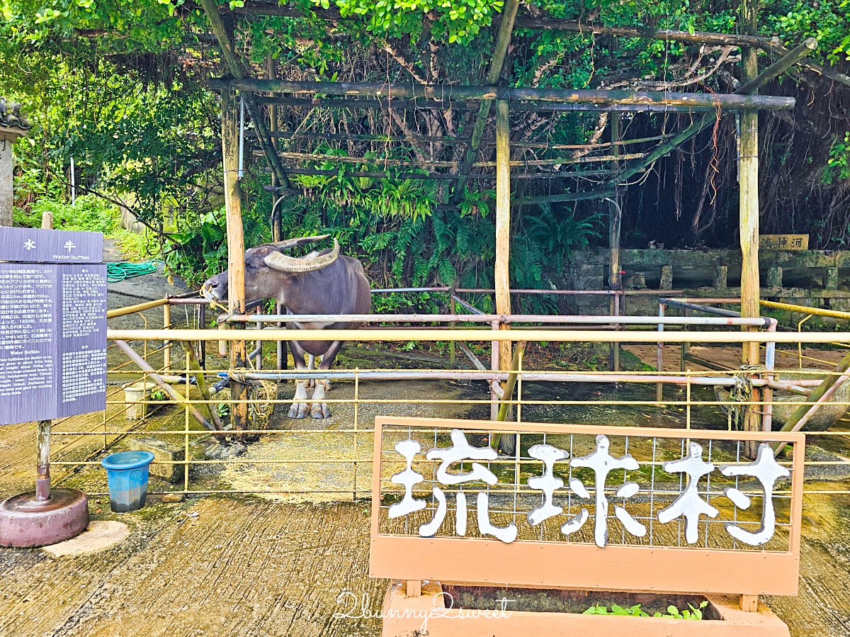 沖繩親子景點推薦｜琉球村完整攻略！穿琉裝和服、傳統體驗、必看表演一次收錄 @兔兒毛毛姊妹花