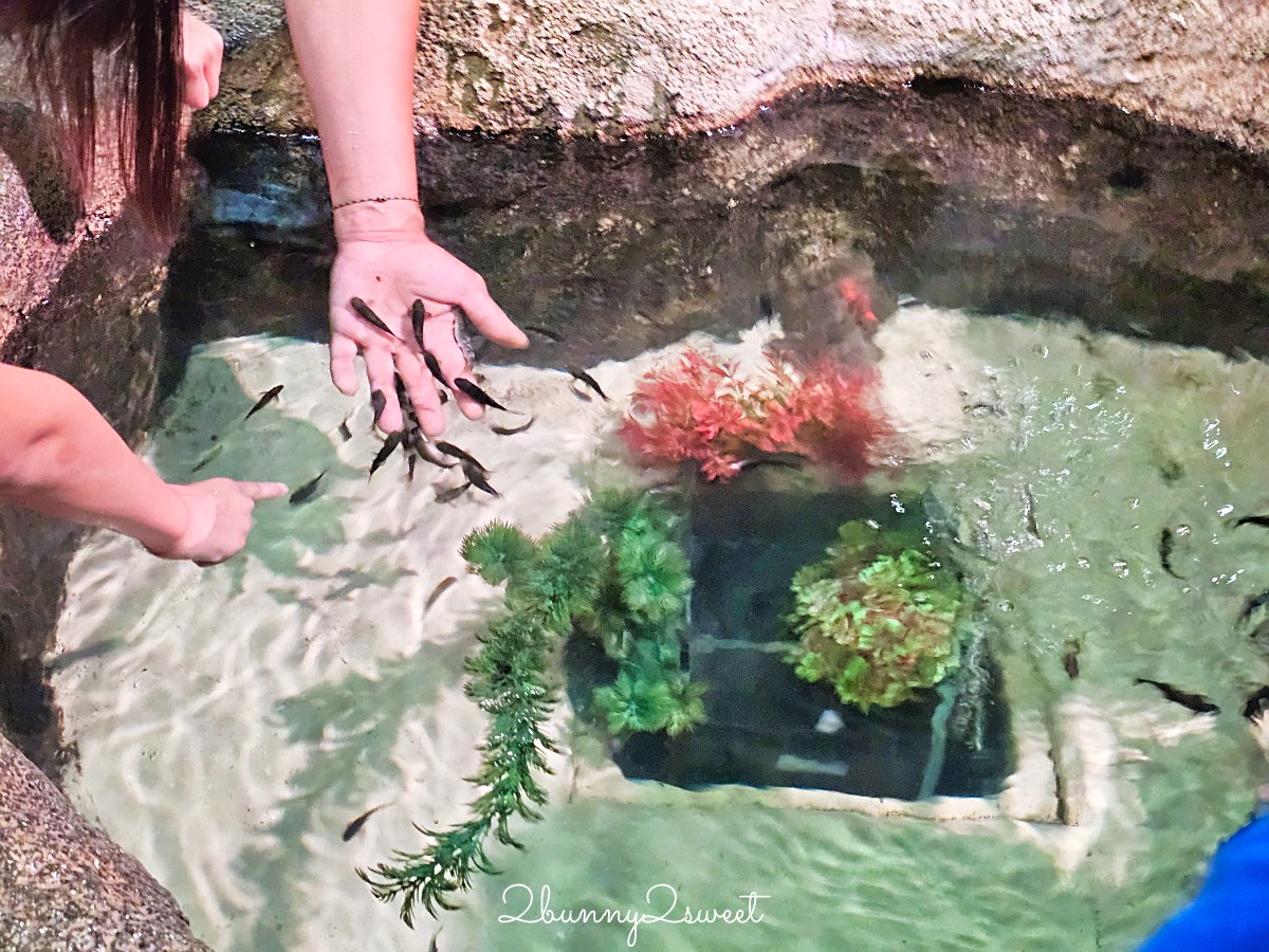 沖繩親子景點推薦｜DMM Kariyushi 水族館：結合數位科技、互動體驗與2025全新動物園區 @兔兒毛毛姊妹花